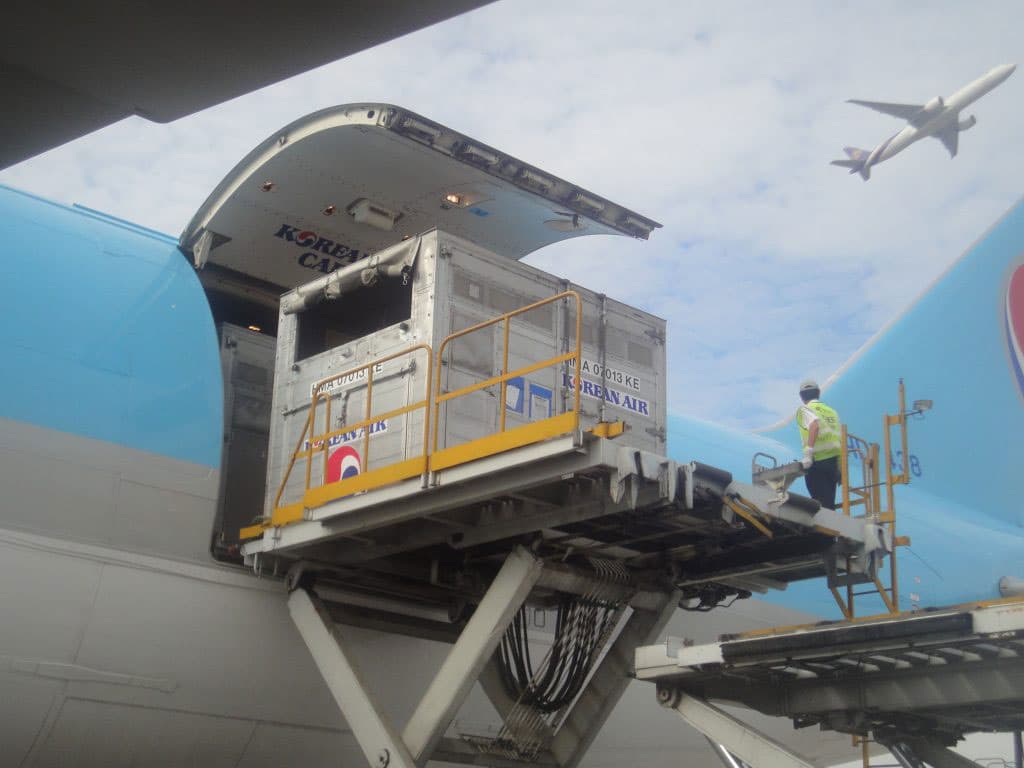 Animal cargo on an Alaska Airlines operation