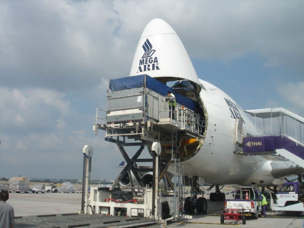 Animals being loaded for transport