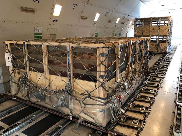 Crated breeding swine secured on the cargo deck of a freighter