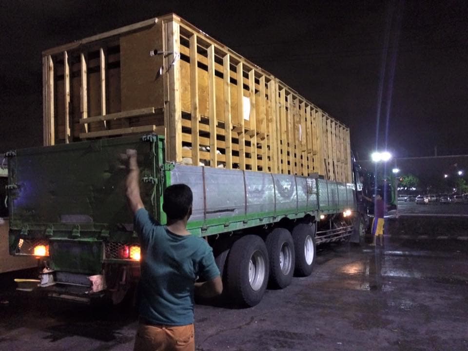 A wooden animal crate on a flatbed truck staged at night for a Manila charter shipment